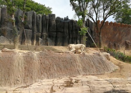 野生動(dòng)物園