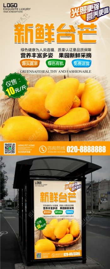水果新鲜台湾芒果青芒泰芒果实海报设计