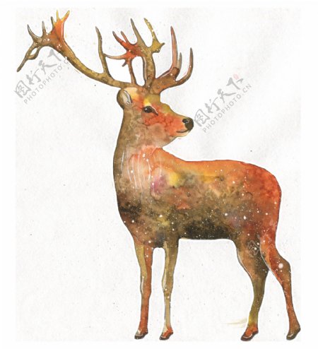 棕色手绘透明水彩动物装饰素材