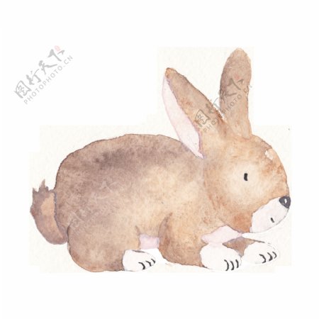 棕黄色手绘兔子透明卡通素材装饰