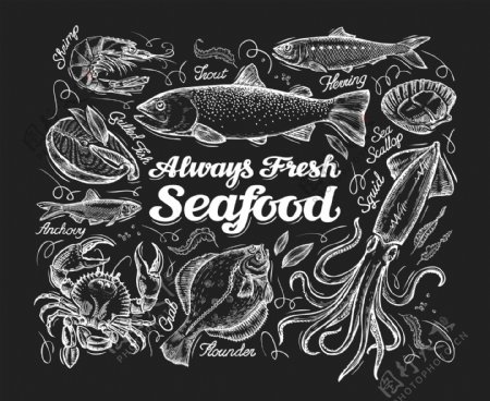 食材海鲜素描手绘海鲜食材插画