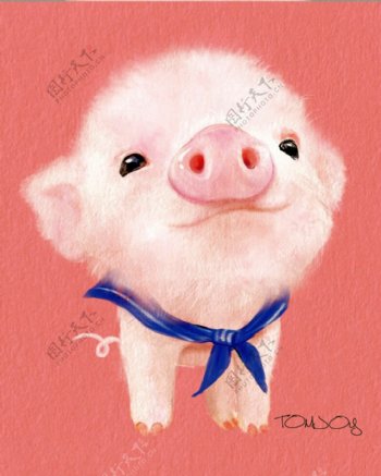 红色底色白色小猪可爱装饰画