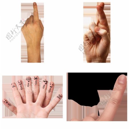 四种不同手势免抠png透明图层素材