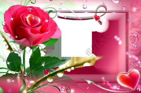 红玫瑰爱情边框免抠png透明图层素材