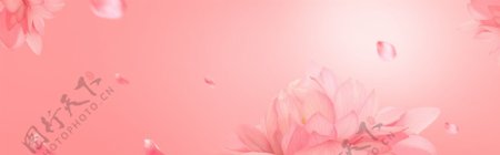 浪漫红色花朵banner背景素材