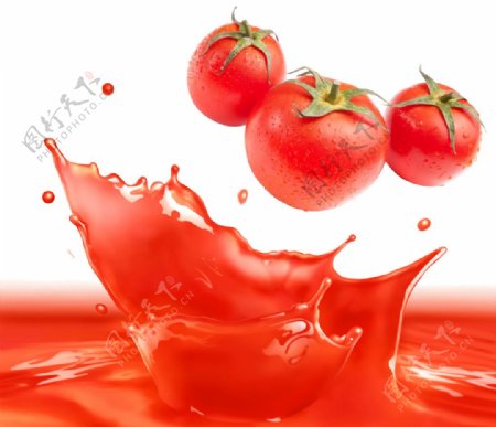 手绘营养西红柿元素