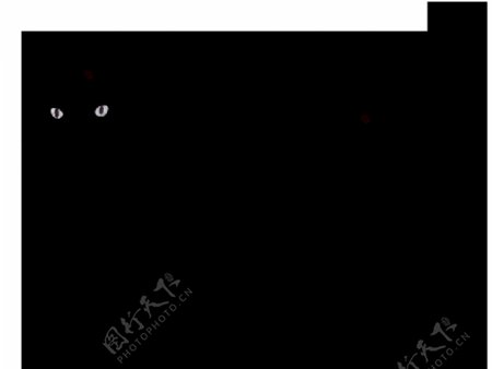 手绘黑猫剪影免抠png透明素材