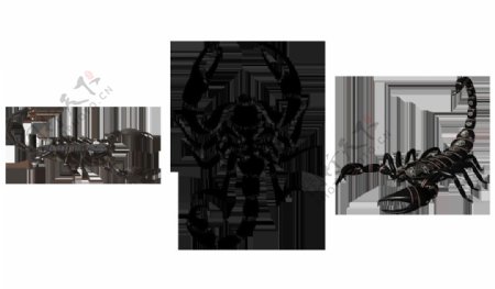 蝎子图案免抠png透明图层素材