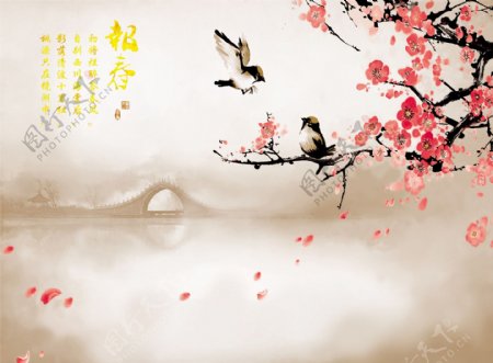 中国风水墨梅花喜鹊背景