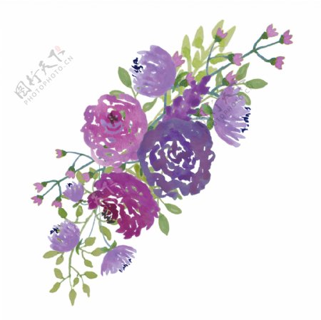 紫色茂盛花卉卡通透明素材