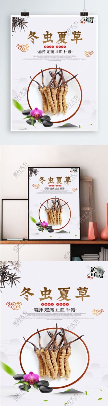 中国风养生冬虫夏草展板设计