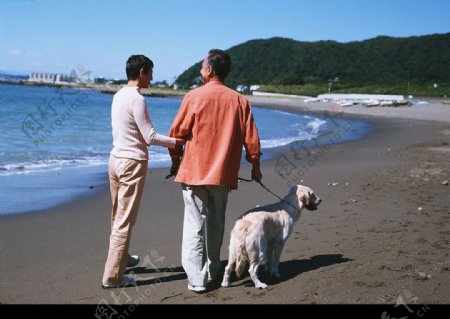海滩老人与狗