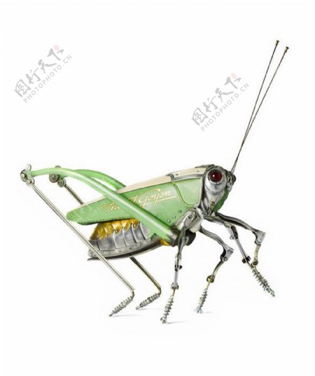 法国艺术家精致蒸汽朋克昆虫雕塑饰品JPG