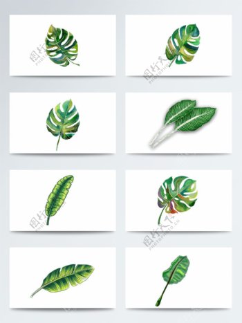 植物芭蕉叶卡通手绘PNG元素