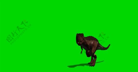 恐龙绿屏抠像视频素材