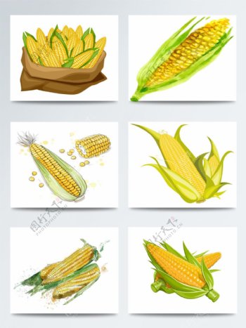 手绘卡通玉米图案合集