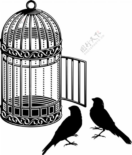 黑白鸟笼和小鸟插画