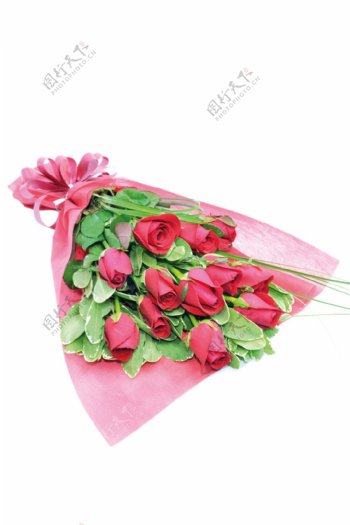 温馨玫红色玫瑰花花朵花束实物元素