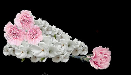清新白色花朵花束实物元素