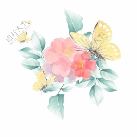 手绘花和蝴蝶插画元素