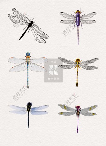 夏季蜻蜓图案设计元素