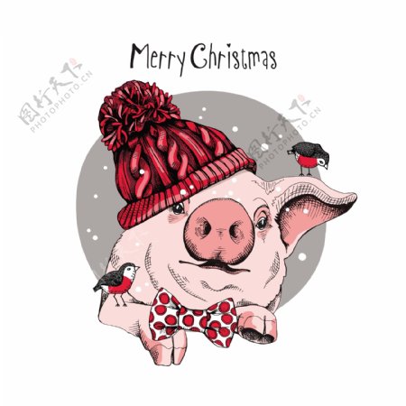 粉红小猪圣诞素材卡通小猪