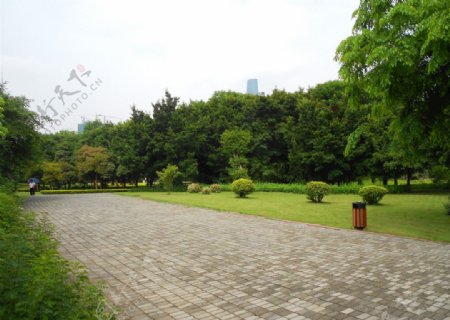公园绿化设计