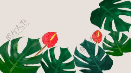 简约芭蕉叶子植物背景设计