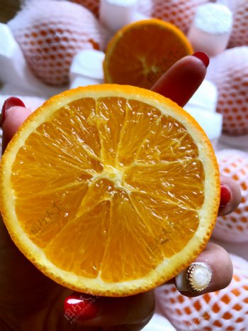 金堂脐橙新鲜水果鲜果