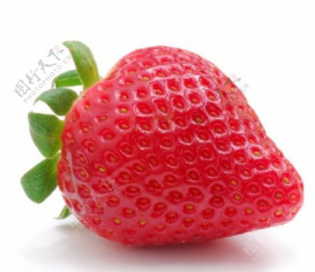鲜艳的单颗草莓