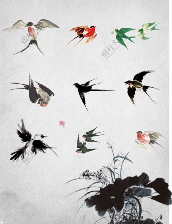 中国水墨画鸟