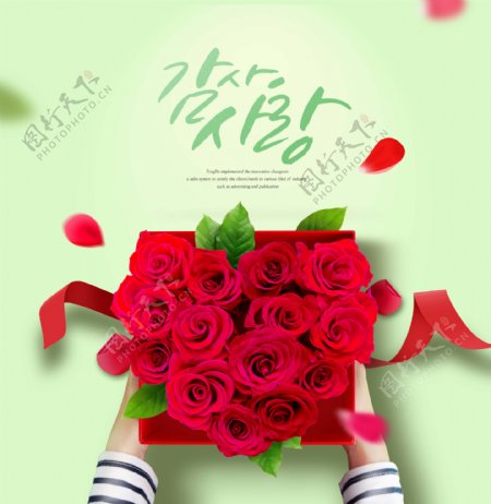 韩系红玫瑰感恩节礼物海报设计