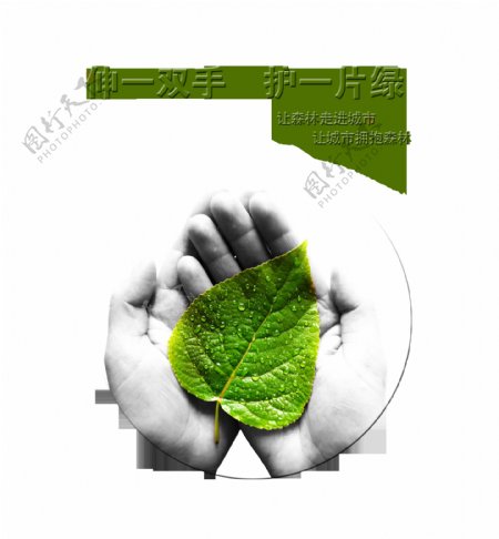 伸一双手护一片绿艺术字设计环保绿色字体