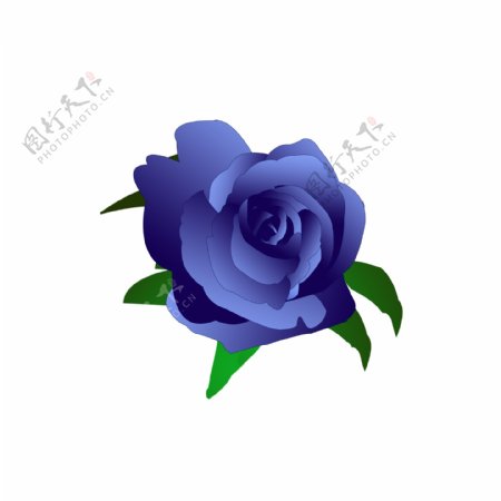蓝色妖姬玫瑰玫瑰花元素