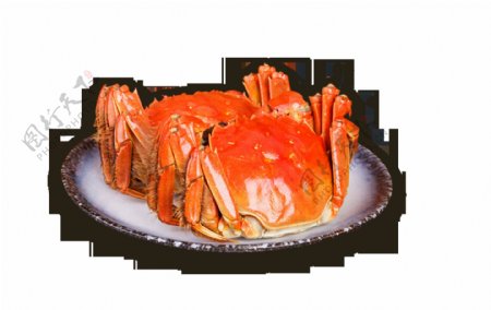 美食大闸蟹装饰素材