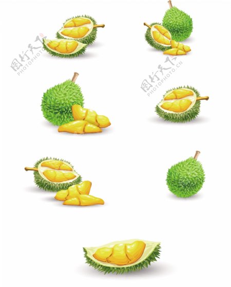 热带水果榴莲图标