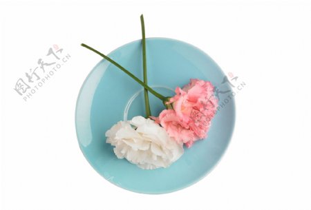 春季节日花朵植物元素盘子装饰素材