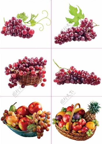 076葡萄水果素材