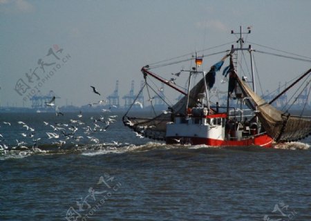 渔船图片船打渔海上