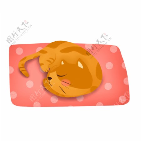 在粉色毯子上睡懒觉的小猫可商用元素