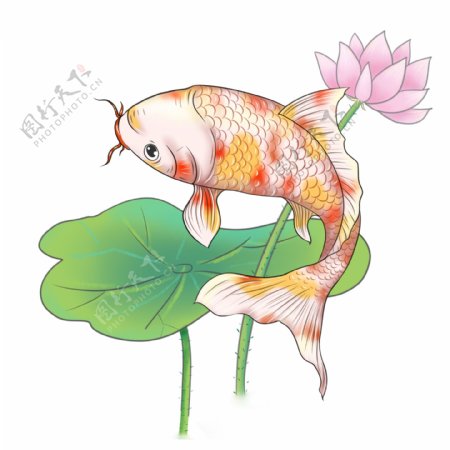 商用新年红色黄色锦鲤新春鲤鱼荷花装饰图案
