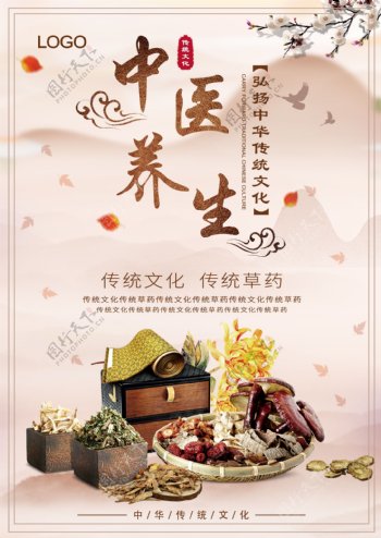 水墨古典传统中国风中药中医养生海报展板