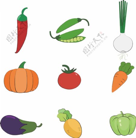 简约蔬菜手绘套图
