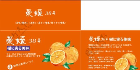爱媛橙爱媛38号橙子包装