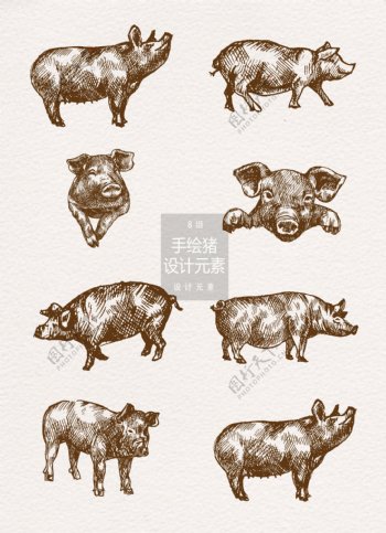 手绘猪插画设计元素
