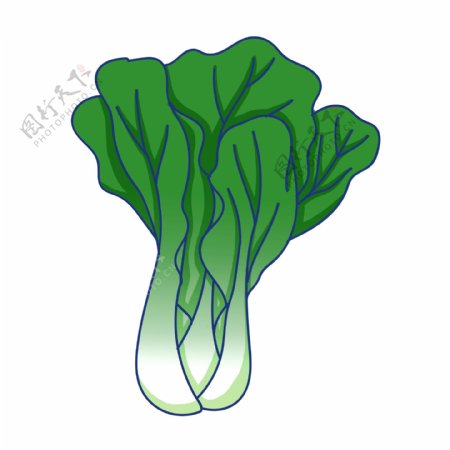 手绘绿色蔬菜插画可商用
