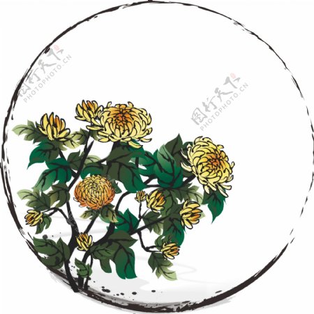 手绘中国风水墨花卉植物边框菊花装饰元素