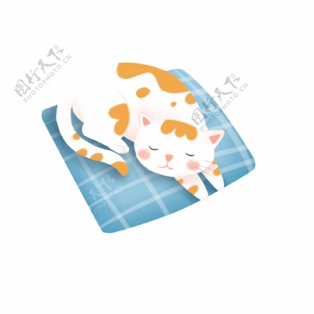 手绘枕头上睡觉的猫咪插画元素