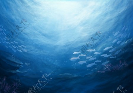 深海鱼群