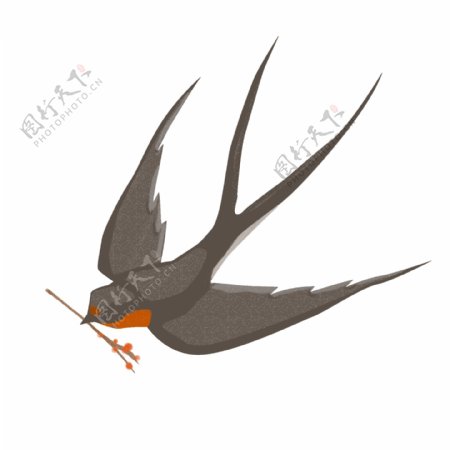 新年黑色的燕子插画